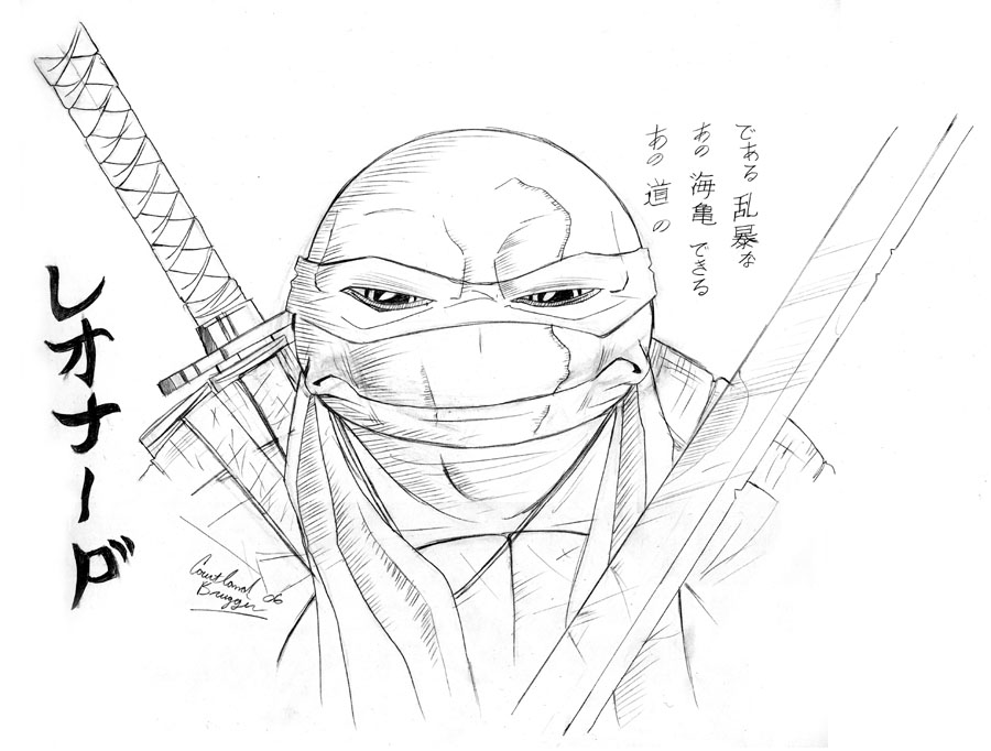 900x682 Leo Face Study By Ninja Turtles