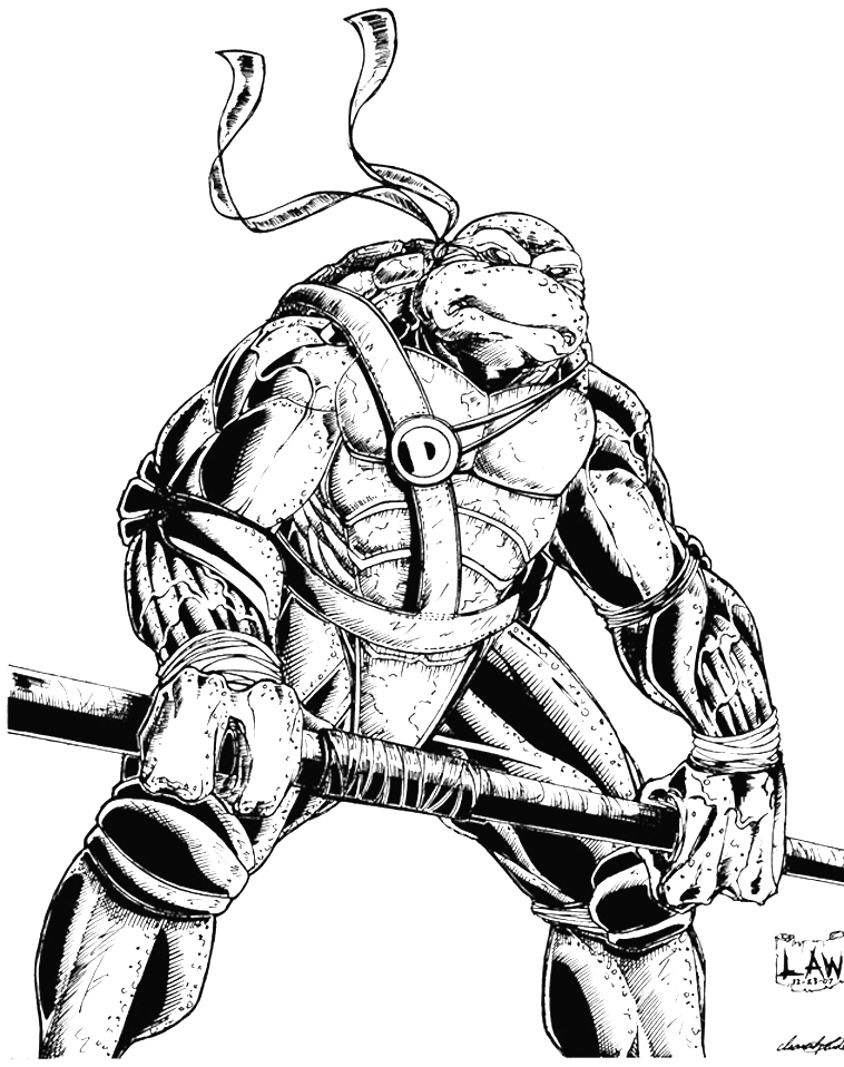 758x958 Donatello Ninja Turtle Sketch By Spiderlaw