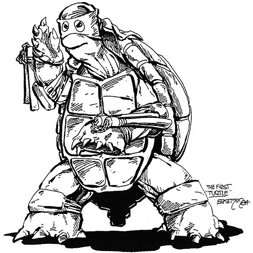 500x500 Why Do The Teenage Mutant Ninja Turtles Wear Masks