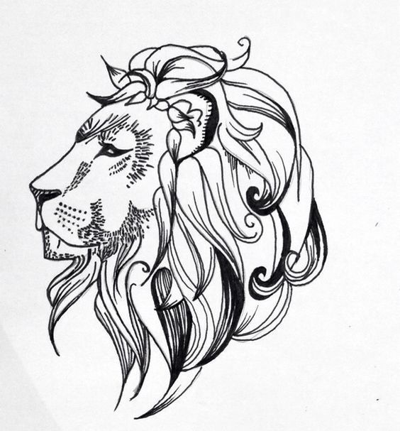 564x607 Best Lion Icon Ideas On Animal Logo, Shield Design