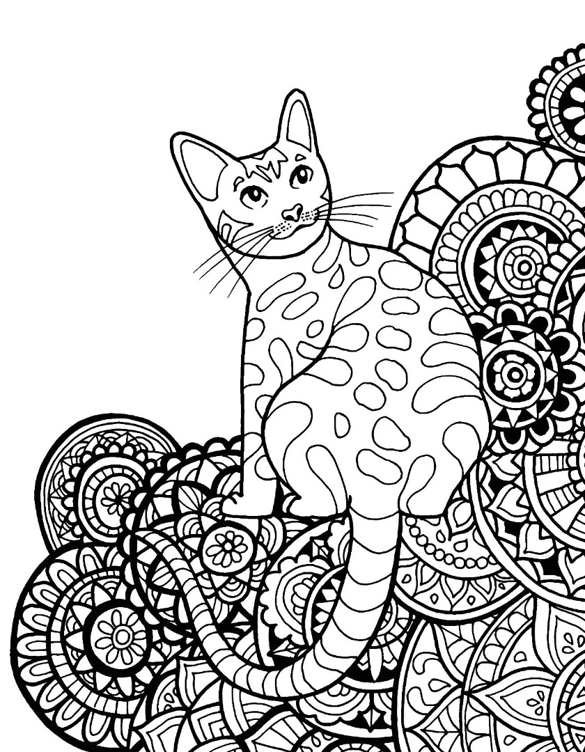 840x1080 Cat Mandala Freebie