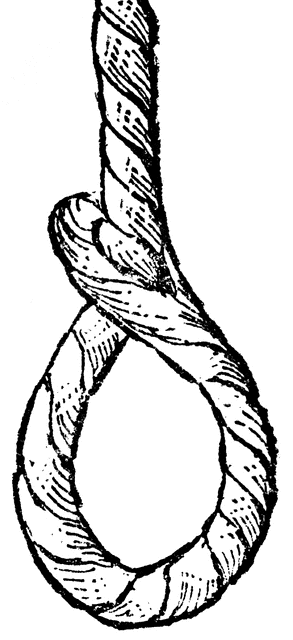 293x640 Loop Clipart Etc