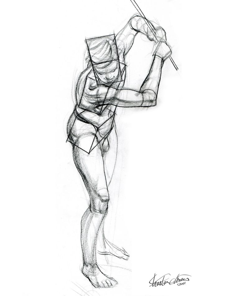 736x952 790 Best Anat Study Images On Anatomy Drawing