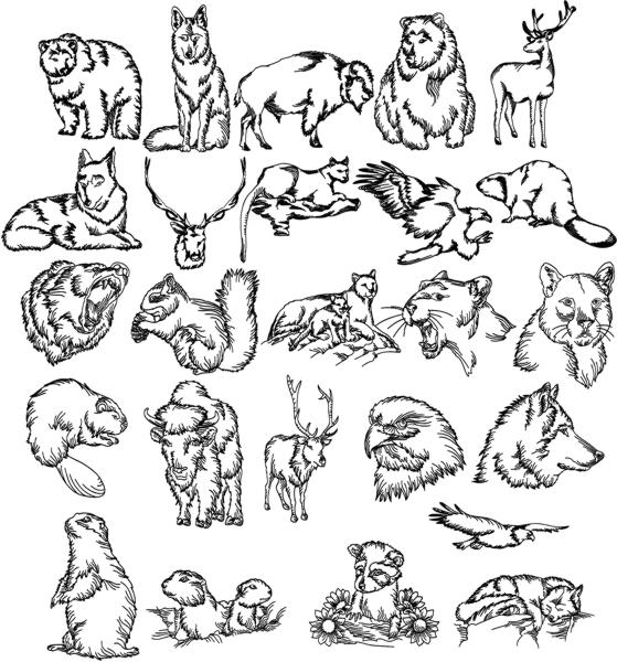 559x600 Advanced Embroidery Designs