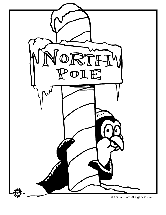 680x880 North Pole Penguin Coloring Page Animal Jr.