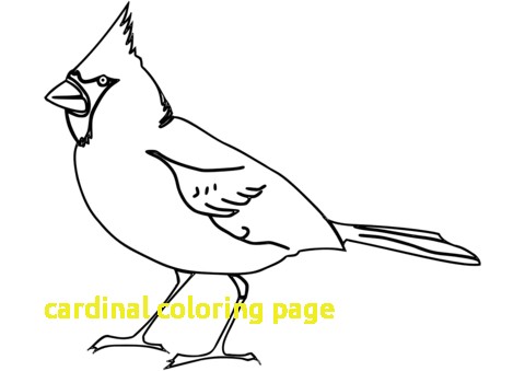 480x339 Cardinal Coloring Page