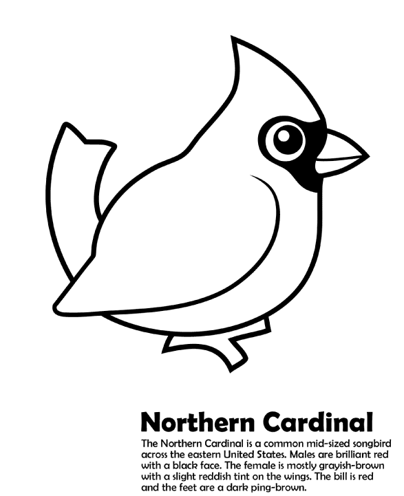587x721 Northern Cardinal Coloring Page