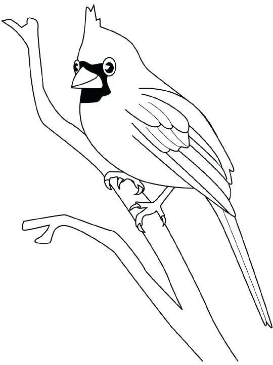 540x720 Cardinal Coloring Pages Synthesis.site