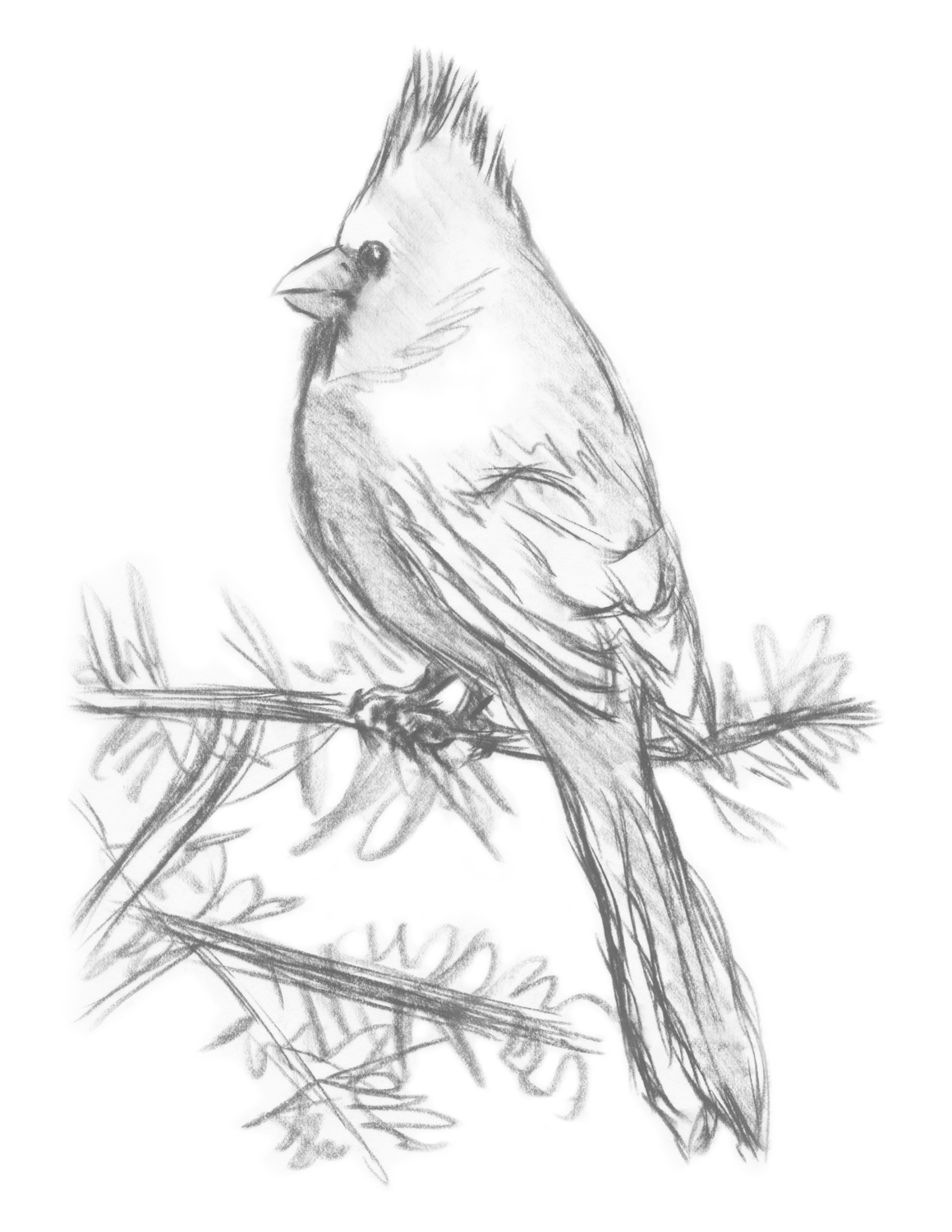 1159x1500 Art Time Classes Cardinal