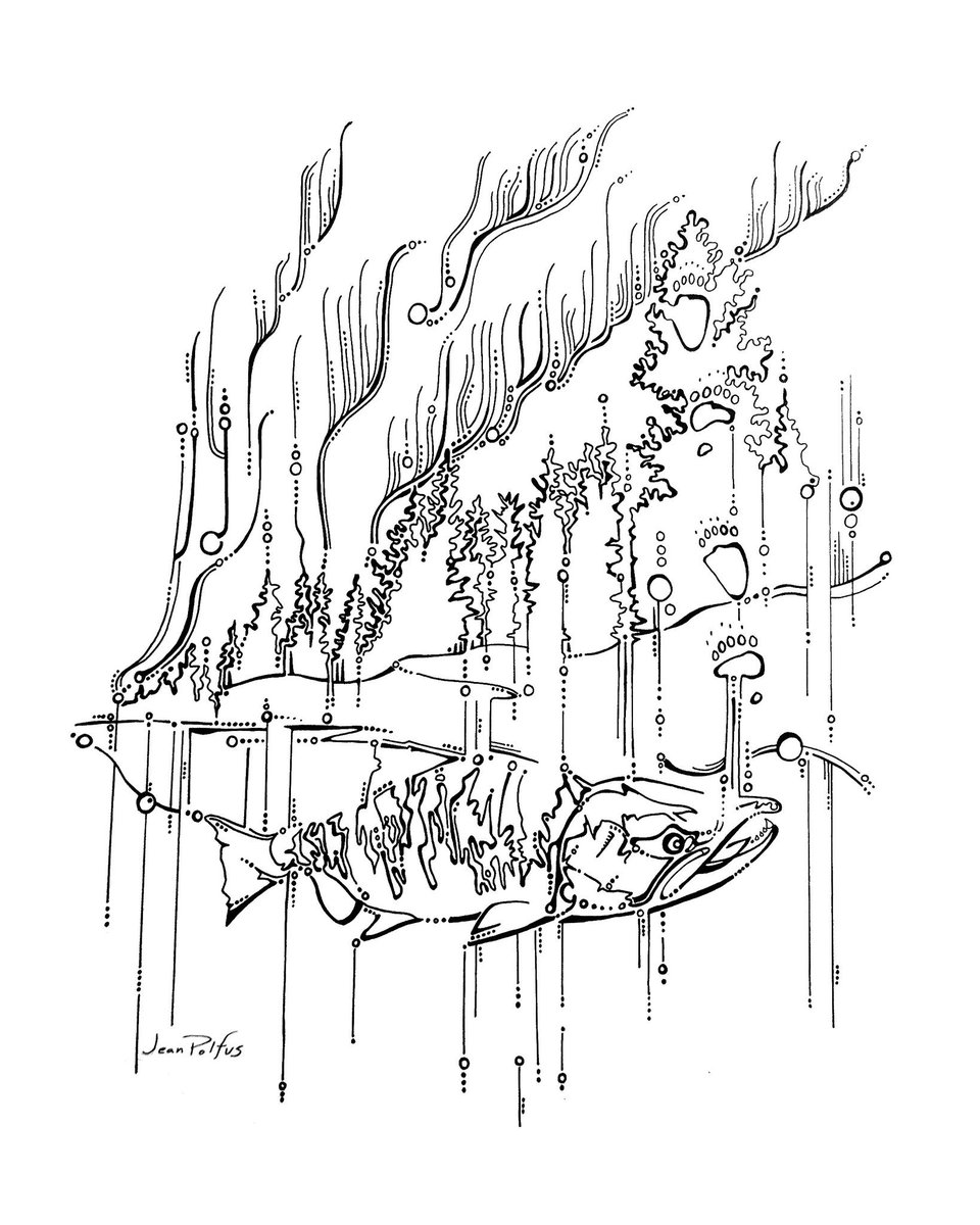 960x1200 Jean Polfus On Twitter A New Drawing That I Created