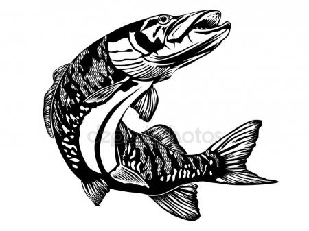 450x337 Eagle Head Isolated On White Background Stock Vector Lioriki