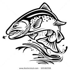 225x224 Image Result For Drawings Of Brown Trout Fishing