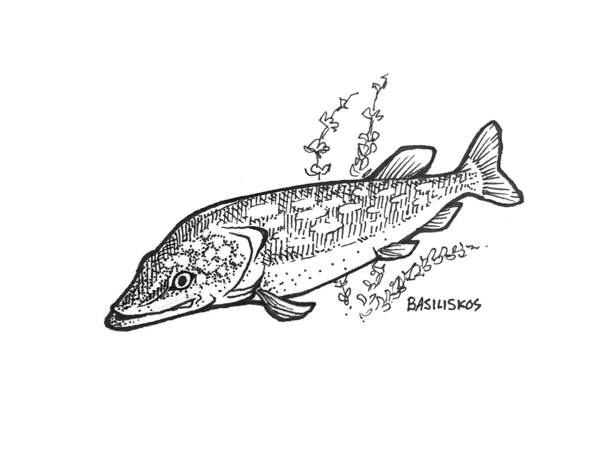 1200x922 Amy Cheu On Twitter