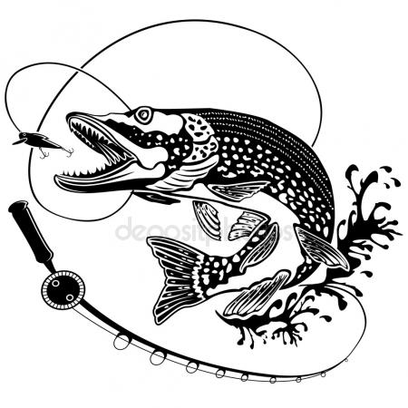 450x450 Catfish Stock Vectors, Royalty Free Catfish Illustrations