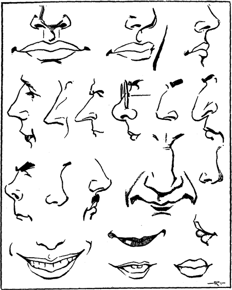 451x564 Best Photos Of Drawing Different Noses