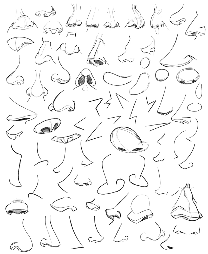 800x975 Learning Drawing Principles Noses,mouths And Ears
