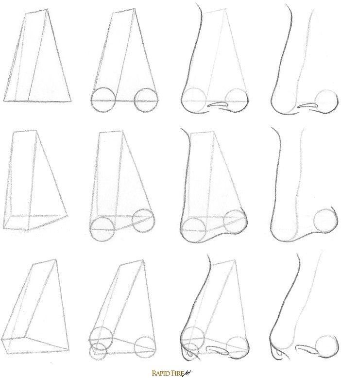 702x778 How To Draw A Nose From The 34 View Drawing The Human Body