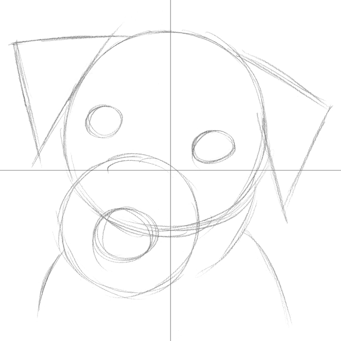 700x700 6.3.a2 Isaac The Jack Russell