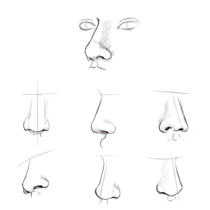 Nose Drawing Images at GetDrawings | Free download