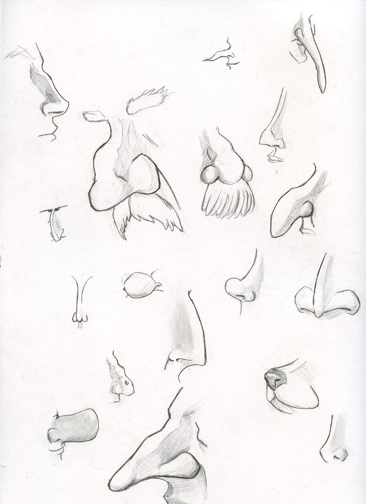 Noses Drawing at GetDrawings | Free download