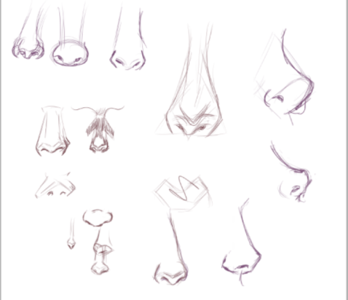 500x431 Nose Art Study Tumblr
