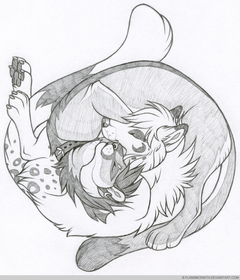 800x931 Rigor And Nova By Flannmoriath