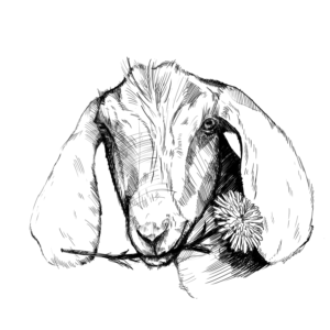 300x300 35 Personable Playful Graphic Designs For A Business In United States