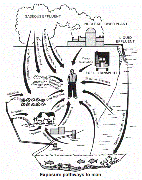 482x613 One Nuclear Power Plant Legally Releases 1,000 Hiroshima Bombs