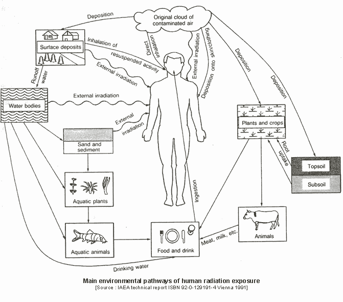 671x590 Chernobyl Nuclear Disaster 1986 ~ Sciences Howitsmade