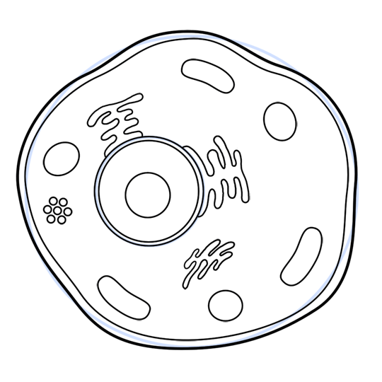 540x540 Cartoon Cell Step By Step Drawing Lesson