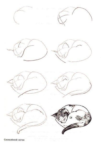 420x604 Como Dibujar Gatos (4) Dibujs Otros Drawings