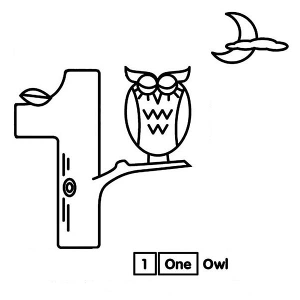 600x600 Number One Tree And An Owl Coloring Page