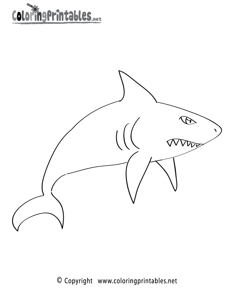 800x1035 20 Images Of Nurse Shark Coloring Template
