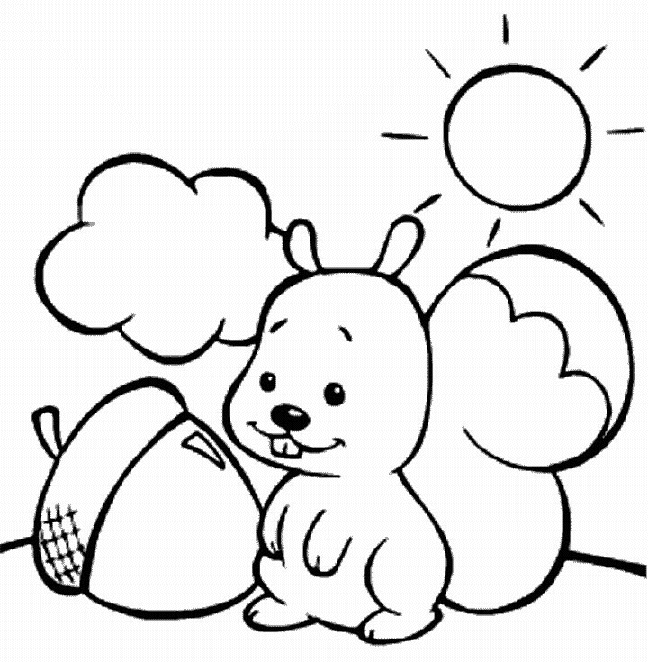 648x662 Coloring Sun Nut And Squirrel Picture