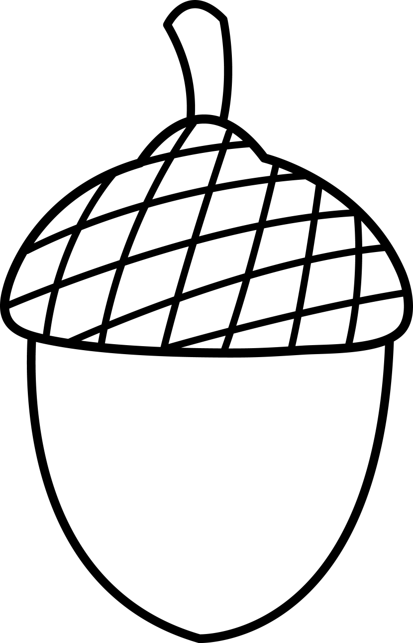 830x1291 Nut Clipart Black And White
