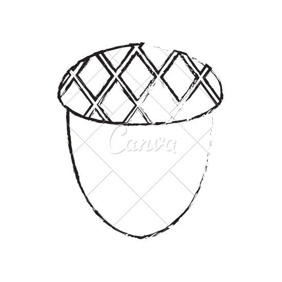 550x550 Acorn Nut Sketch