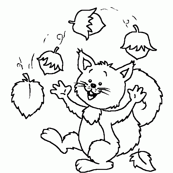 550x550 Autumn Pictures