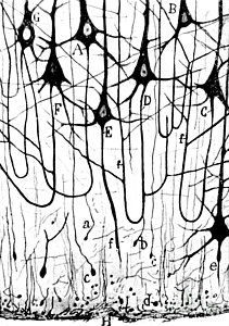 211x300 N Y Art Pixels