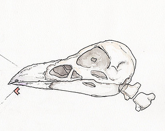 340x270 Basic Balance 10 Original Colorful Watercolor Drawing Sketch