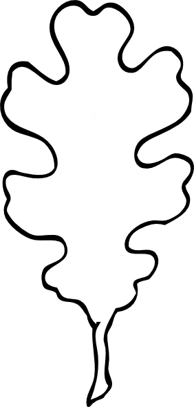 282x589 Oak Tree Leaves