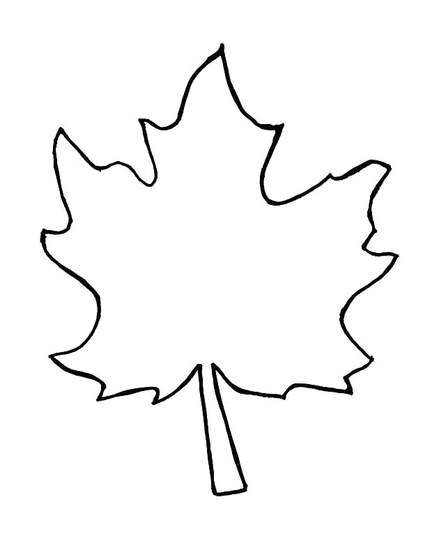 640x789 Leaf Coloring Template Coloring Page Leaves Tree Without Leaves