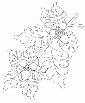 300x360 219 Best Leaf Template Outlines Images On Leaves