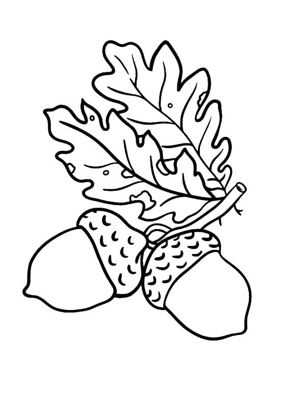 Oak Leaves Drawing at GetDrawings | Free download