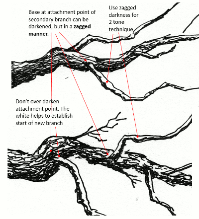 400x441 How To Draw Tree Branches Twigs In Pen Ink My Pen