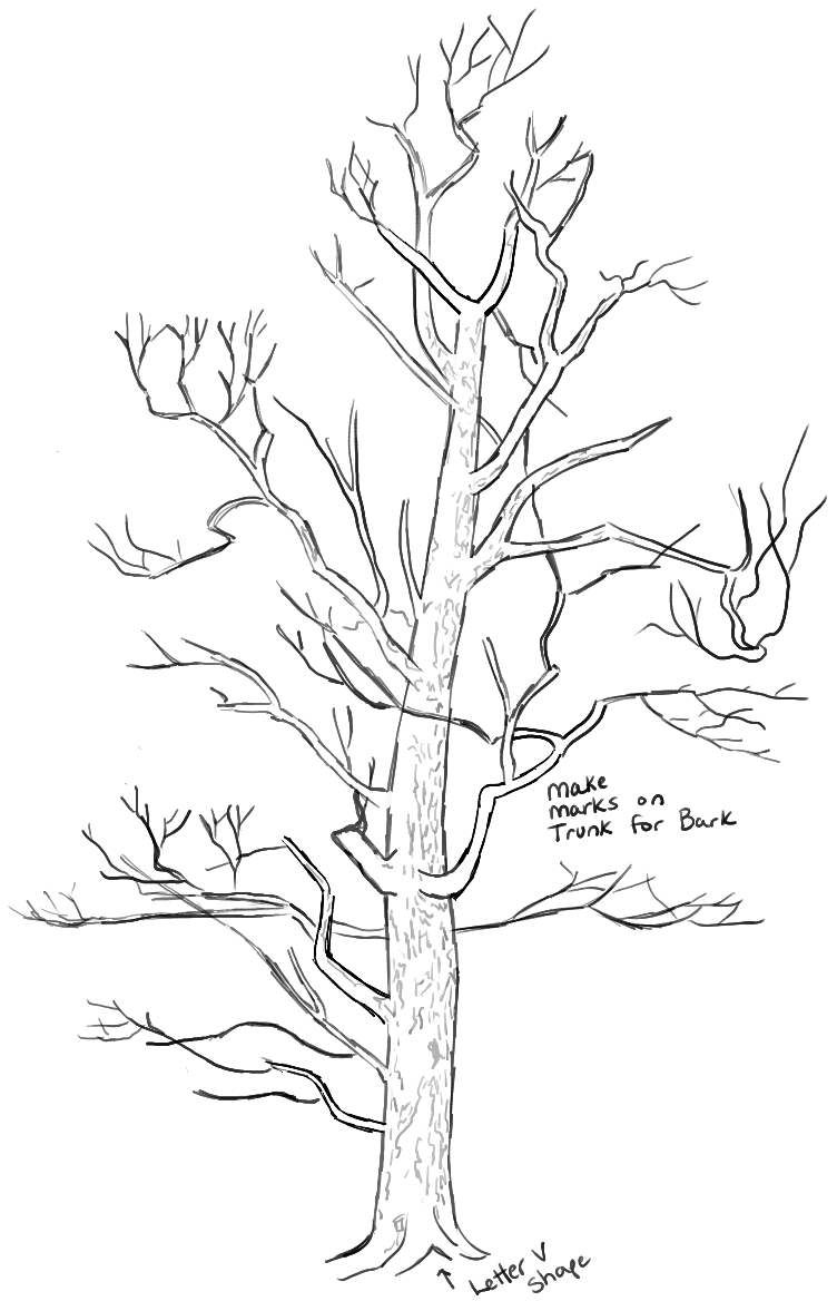 752x1177 Drawing A Tree Step By Step How To Draw An Oak Tree, Stepstep