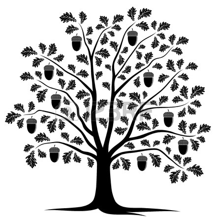 439x450 10,988 Oak Tree Silhouette Cliparts, Stock Vector And Royalty Free
