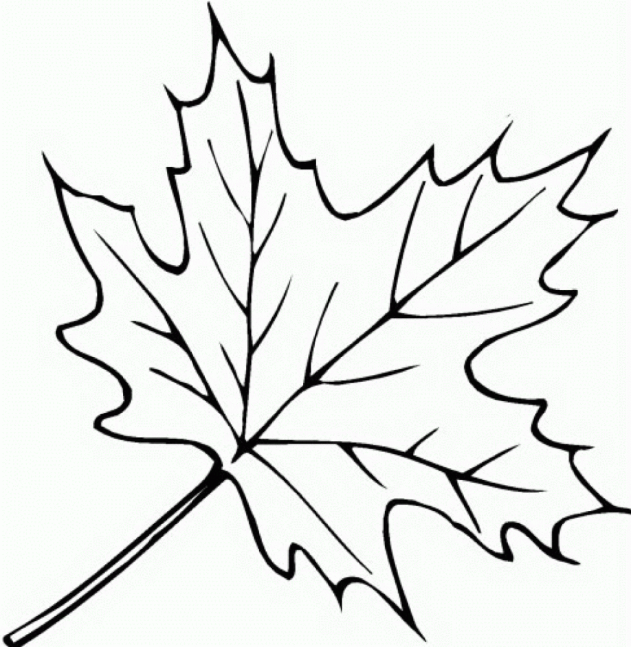 918x942 Fine Oak Leaf Template Contemporary