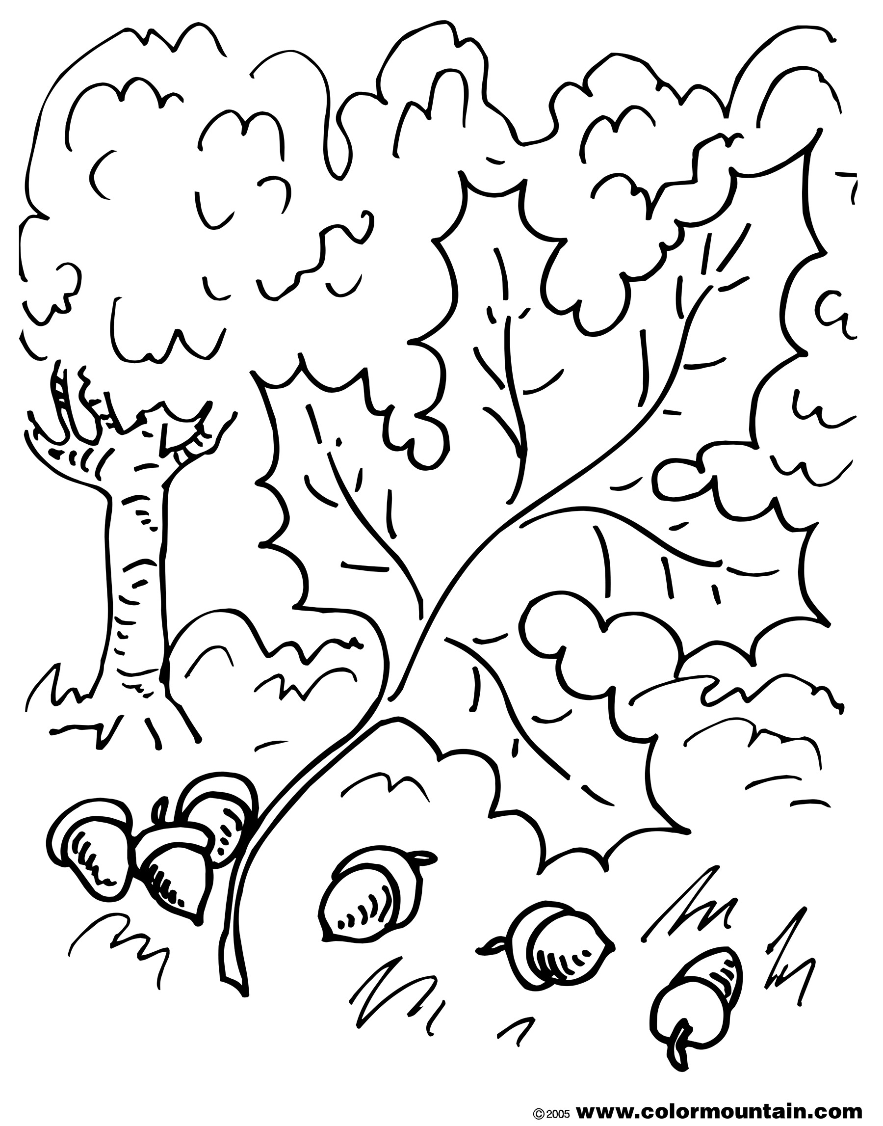 1800x2294 Oak Leaf Coloring Page
