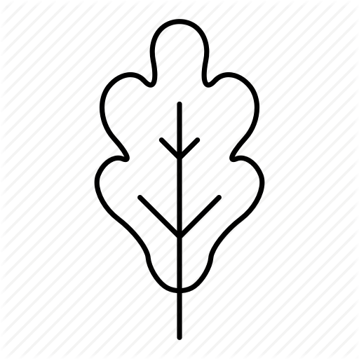 512x512 Autumn, Fall, Leaf, Leaves, Nature, Oak, Tree Icon Icon Search