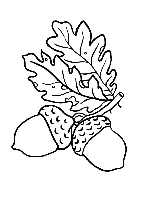 600x776 Oak Leaf Coloring Page Free Fall Leaf Coloring Pages For Family